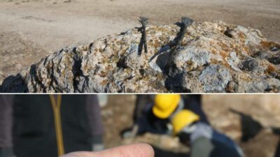 1.800 yıl öncesine ait cerrahi aletler bulundu