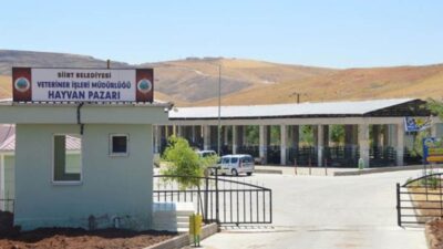 Siirt'te şap hastalığı tespit edildi ve geçici olarak havan pazarı