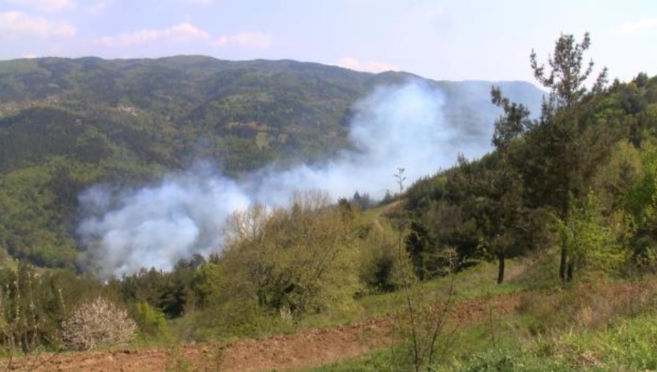 Bursa'nın Nilüfer ilçesinde çıkan