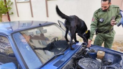 Nevşehir'de zehir tacirlerine göz açtırılmıyor. Kent genelinde uyuşturucu satıcılarına yönelik