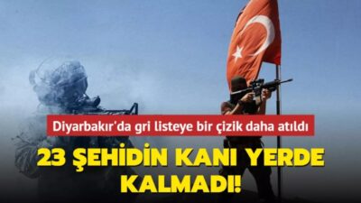 Diyarbakır'ın Lice ilçesinde gerçekleştirilen “BOZDOĞAN-40' Operasyonunda gri kategoride olan Mehmet