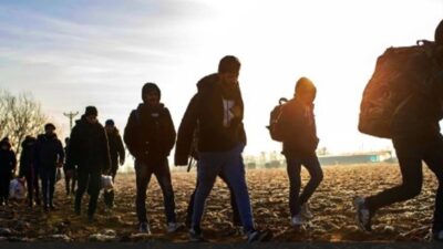 Van'da gerçekleştirilen jandarma operasyonları ve yol kontrolleri sonucunda, yurda yasa