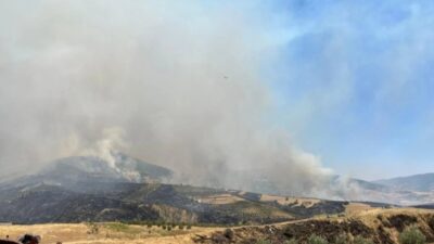 Manisa'nın Alaşehir ilçesinde otluk alanda çıkıp tarım arazisine sıçrayan yangına