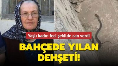 Artvin'in Yusufeli ilçesinde bahçede çalışırken yılan tarafından ısırılan 75 yaşındaki