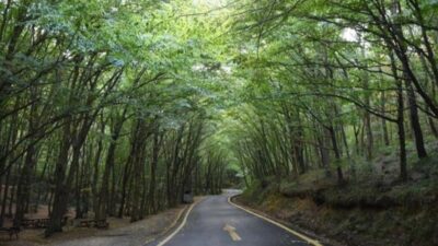 Yangın riski taşıyan 40 ilde ormanlara girişler, belirli tarihlere kadar