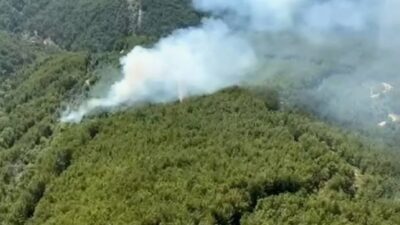 Antalya'nın Konyaaltı ile Aksu ilçelerinde iki ayrı noktada yangın çıktı.