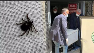 Sivas Valiliği tarafından yapılan açıklamada, Kırım Kongo Kanamalı Ateşi hastalığı