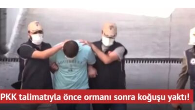 Adana'da terör örgütü PKK'nın talimatıyla 5 ayrı noktada orman yangını