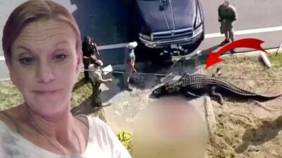 Florida'da 14 metrelik bir timsahın midesinden 41 yaşındaki evsiz bir