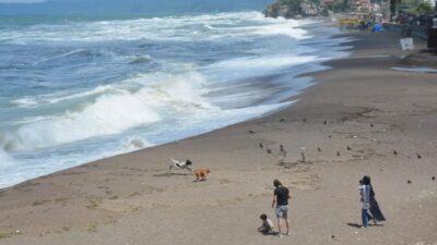 Düzce'nin Akçakoca ilçesinde ve Sakarya'nın Karasu ve Kaynarca ilçelerinde olumsuz