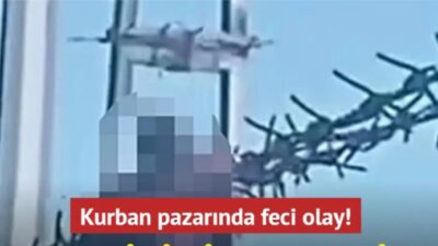 Kayseri'deki bir kurban pazarında meydana gelen korkunç olayda, Zabıta ile