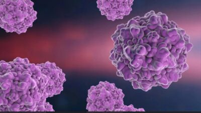 Özellikle çocuklarda yaygın olarak görülen ve beşinci hastalık olarak bilinen