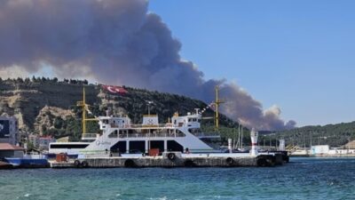 Çanakkale'nin Eceabat ilçesinde orman yangını çıktı. Havadan müdahale edilen yangın