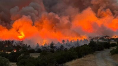 Tarım ve Orman Bakanı İbrahim Yumaklı, Uşak'taki orman yangının kontrol