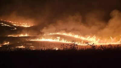 Diyarbakır ve Mardin'de 12 kişinin öldüğü anız yangınından yara almadan
