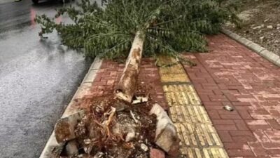 Şanlıurfa'da akşam saatlerinde etkili olan fırtına ve yağmur hayatı felç