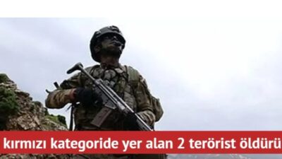 “BOZDOĞAN-45' operasyonuyla 1'i kırmızı kategoride yer alan 2 terörist etkisiz