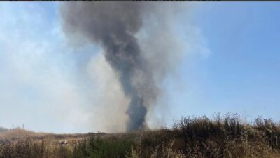Düzce'de çöplük alanda başlayarak buğday ve mısır tarlalarına sıçrayan yangın