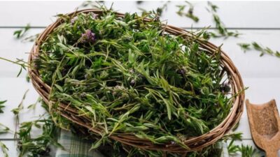 Kekik dağlarda yetişen bir şifa baharatıdır. Kekik çayı kan basıncı