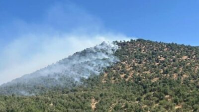 Diyarbakır'ın Çınar ilçesinde yaylada çıkan yangın, kontrol altına alınmaya çalışılıyor.
