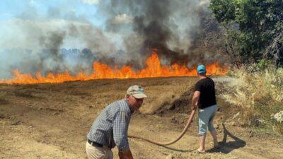 Edirne'nin Lalapaşa ilçesine bağlı Donbay köyündeki Kocatepe mevkiinde bulunan buğday