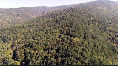 Eskişehir'de yangınların önüne geçebilmek amacıyla ormanlık alanlara girişlerin gelecek hafta