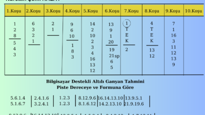 İstanbul Gazi Koşusu