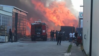 Bursa'nın Yenişehir ilçesindeki çıkan yangının söndürülmesi için çalışma başlatıldı.