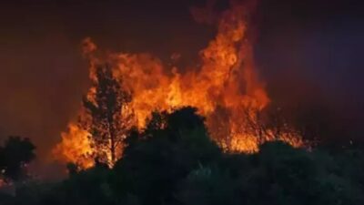 İzmir'in Gaziemir ve Buca ilçeleri arasında çıkan orman yangınına müdahale