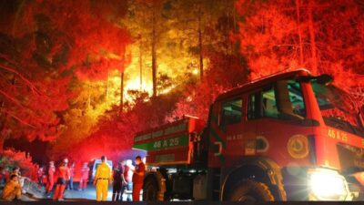 Antalya, Kahramanmaraş ve Adana'da ormanlık alanlarda yangın çıktı. Ekipler, gece