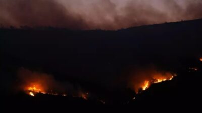 İzmir'in Urla ilçesinde orman yangını çıktı. Bölgeye sevk edilen ekipler,