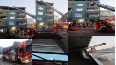 Bursa'da kedi ve yavrularını kurtarma operasyonu kedi yavrularıyla korkup kaçması