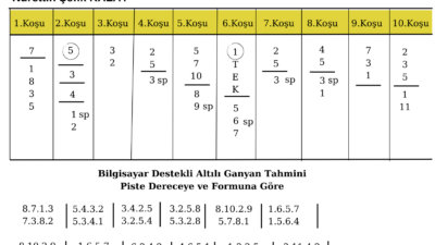 Kocaeli Yarış Tahmini