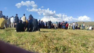 Bingöl'ün Karlıova ilçesine bağlı Serpmekaya köyünde, sıcak havadan bunalıp dereye