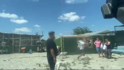 Hayvan barınağı sorumlusu ve ‘Silivri Canları 2. Hayat Melekleri' adlı