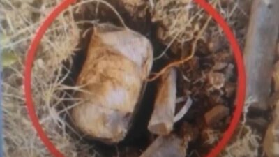 Milli Savunma Bakanlığı (MSB), Pençe-Kilit Operasyonu bölgesinde tespit edilen 6