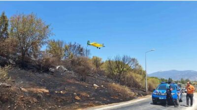 İzmir Selçuk'ta bulunan Efes Antik Kenti girişine yakın bir bölgede