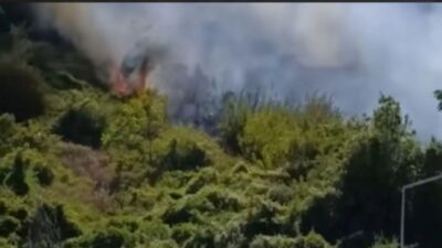 İzmir'in Karşıyaka ilçesi Yamanlar Dağı'nda çıkan ve geniş bir alana