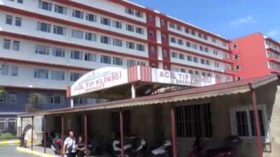 Başıboş sokak köpekleri yine terör estirdi. İstanbul'un Fatih ilçesinde boş