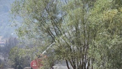 Ankara, İzmir ve Afyonkarahisar’da alevlerle mücadele sürüyor. Başkent Ankara’nın Kızılcahamam