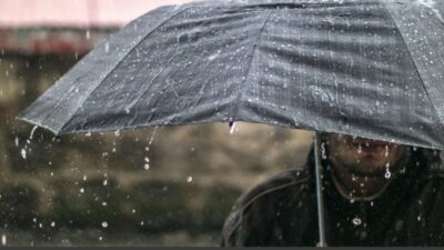 İç Anadolu'nun kuzeybatısı, Batı Karadeniz'in iç kesimleri ve Doğu Akdeniz'de