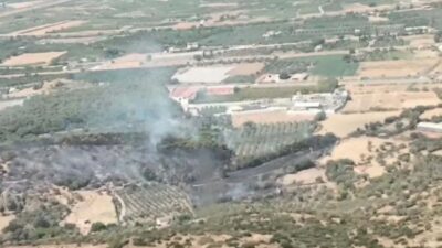İzmir'in Menemen ilçesi ve Muğla'nın Menteşe ilçesinde çıkan orman yangınlarına