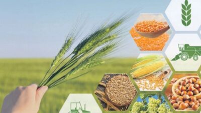 Son 5 yılda tarım, ormancılık ve balıkçılık sektöründe faaliyet gösteren