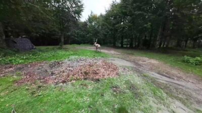 Kocaeli Büyükşehir Belediyesi ve Doğa Koruma ve Milli Parklar Genel