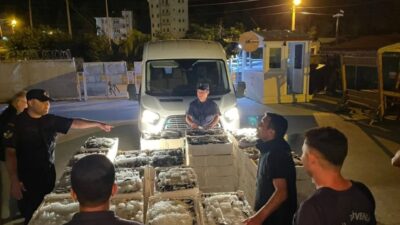 Kastamonu'nun İnebolu ilçesinde boy limitinin altında avlanan 162 kasa balığa