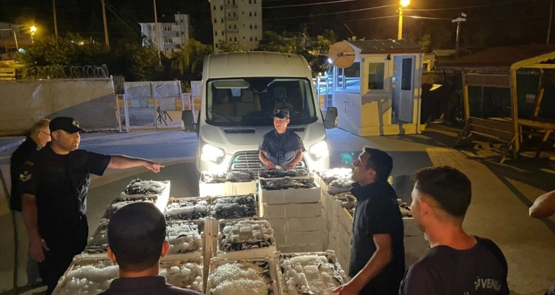 Kastamonu'nun İnebolu ilçesinde boy limitinin altında avlanan 162 kasa balığa