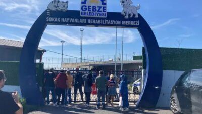 Gebze'de bastıkları barınaktan hayvanları kaçıran bir grup, sosyal medyadan ‘tedavi