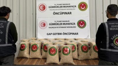 Gümrük Muhafaza ekipleri, Ambarlı Limanı ve Öncüpınar Gümrük Kapısı'nda düzenledikleri