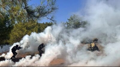 Türk Silahlı Kuvvetleri, Suriye’nin kuzeyindeki Fırat Kalkanı ve Barış Pınarı