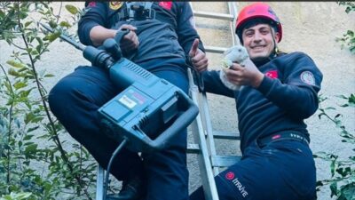 Mersin'in Tarsus ilçesinde bacaya sıkışan tavşan, itfaiye ekiplerinin yoğun çabası